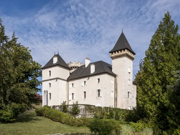 Castle of the Echelle - Monument in La Roche-sur-Foron