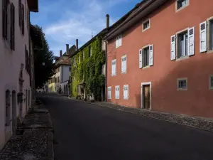 Quartier du Plain-Château (© Gilles Bertrand)