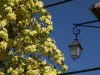 Árbol de flores