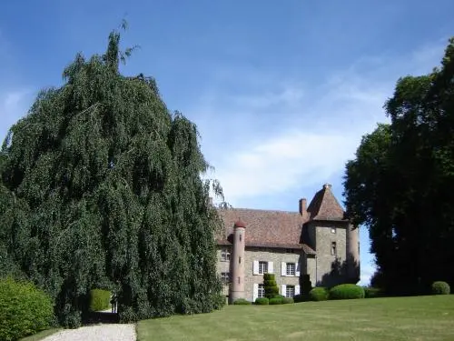 Castello di Tournin - Monumento a La Tour-du-Pin