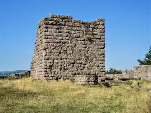 Mantenere del castello di Hohnack, lato visto (© J.E)