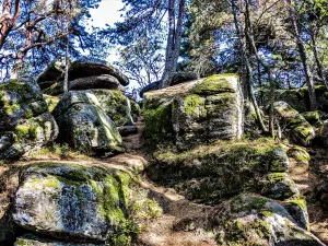 il caos roccioso nella parte superiore del grande Hohnack (© J.E)