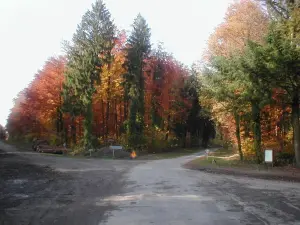 Forest High Road Ride the crossroads of autumn stone cross