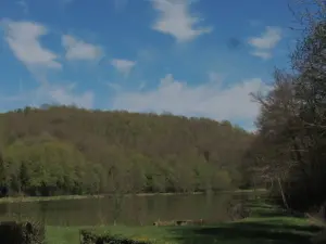 A pond in Argonne