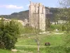 Village of Lagrasse (© Frantz)