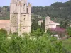 Village of Lagrasse (© Frantz)