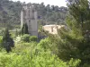 Lagrasse Abbey (© Frantz)