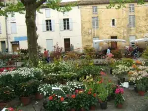 Mercado de Flor en mayo