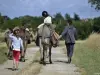 Walk with a donkey