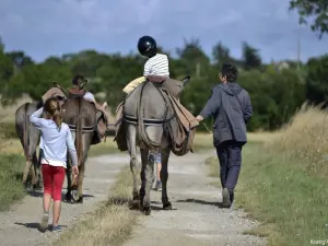 Caminar con un burro