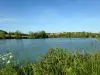 湖のLamontjoie - 自然遺産のLamontjoie