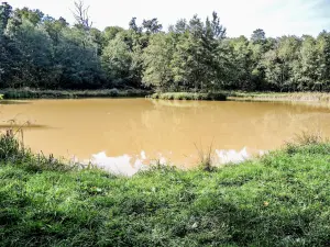 Pond of Lanans (© J.E)