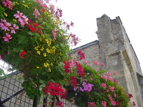 Laon - La cathédrale
