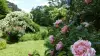Berty's rose garden