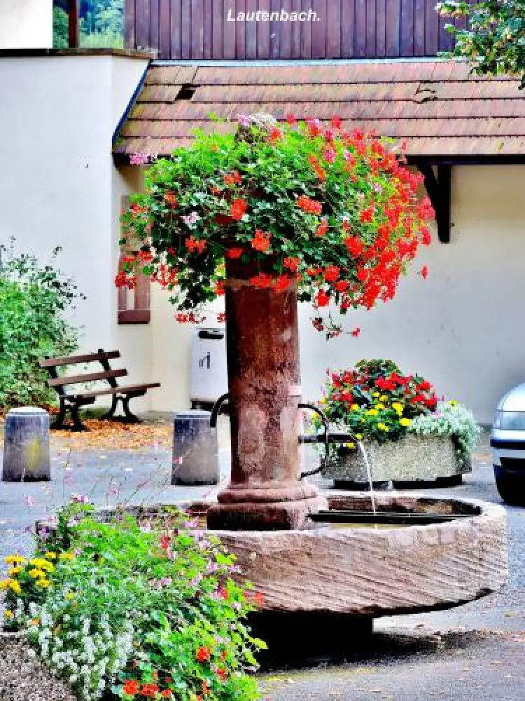 Lautenbach - Fountain near the college (© Jean Espirat)