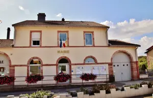 The town hall