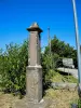 Base e colonna della vecchia croce del passo di Bonhomme (© J.E)