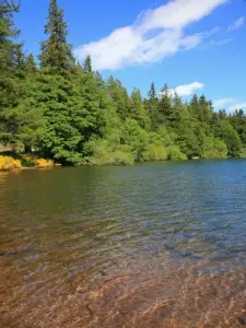 Las aguas claras del lago salvaje y natural