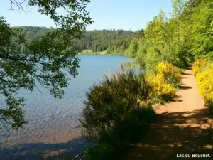 Lago du Bouchet (© JE)