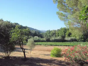paisaje Castellet