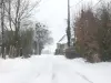 Les Routis sous la neige en février