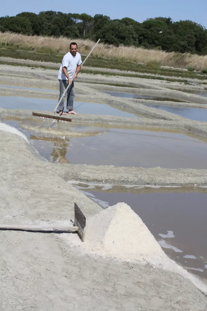 Le Grand-Village-Plage - Saunier verzamelt zout in de haven van Les Salines