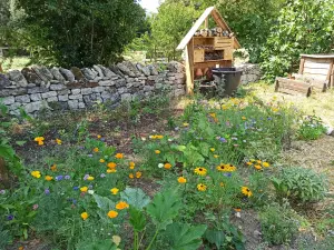 Garden of the Maison éco-paysanne