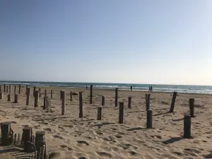 Plage de l'Espiguette 