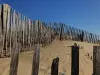 Ganivelles permettant le maintien des dunes