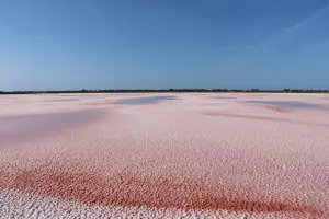 Pink salt marshes on the edge of the village of Grau-du-Roi