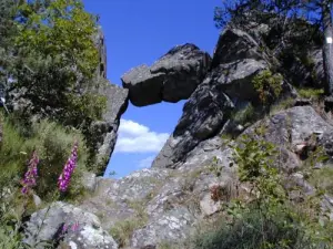 naturale curiosità - Fata porta