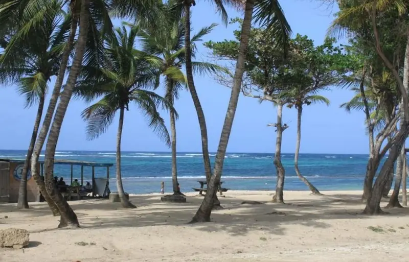 Strand van Montal - Recreatiegebied in Le Moule