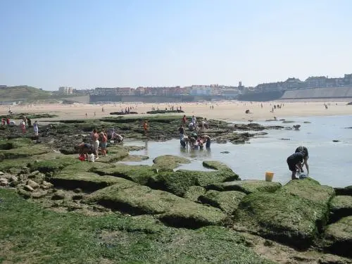 Le Portel - Cueillette de moules au fort de l'Heurt