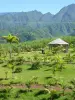 Le Tampon - Führer für Tourismus, Urlaub & Wochenende in Réunion