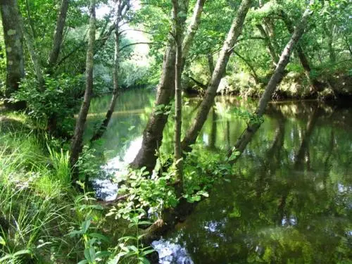 Delta de la Leyre - Site naturel au Teich