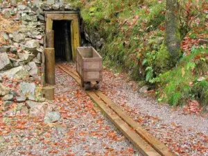 Les Hautes-Mynes: las minas de cobre de los duques de Lo rraine