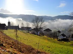 De mist stijgt