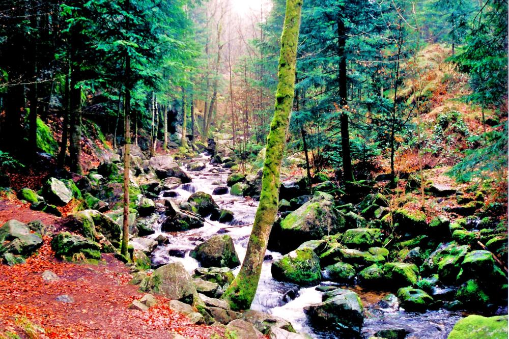 Photos Le Vald'Ajol Tourisme, Vacances & Weekend