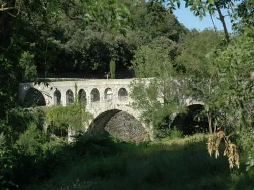 Le Vigan - Pont de la Croix