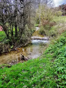 Ruisseau, la Batte, en amont du village (© J.E)