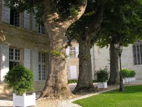 Garden of the Marronniers - Leisure centre in Lectoure