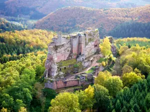 Vue aérienne du château de Fleckenstein (© K. Groß)