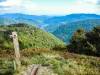 Doller Valley, vista della vetta del Ballon d'Alsace (© J.E)