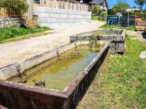 Fontaine-abreuvoir, al pie del pueblo (© JE)