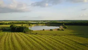 Vista aérea de prados, rastros al atardecer revelan agricultura ancestral