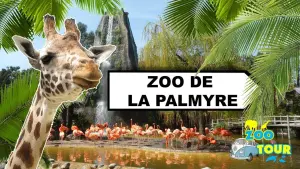 Zoo de la Palmyre