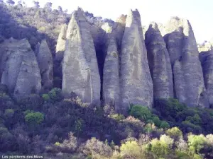 Penitents of the Mées