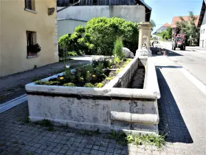 Alter Brunnen-Waschhaus-Tränke in Nods (© JE)