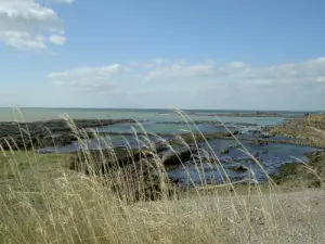 Château-d'Olonne - Sluizen