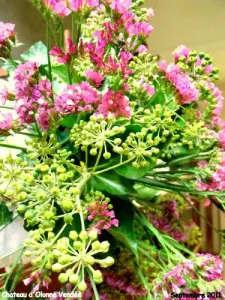 Château-d'Olonne - Enkele bloemen van Château-d'Olonne